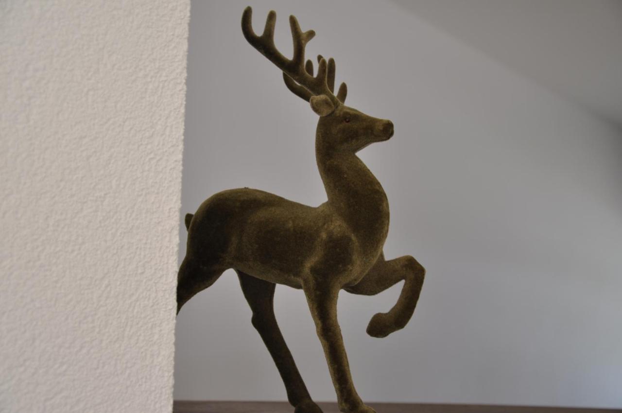 Ferienwohnung Staudach, Apartment Fuegenberg Buitenkant foto